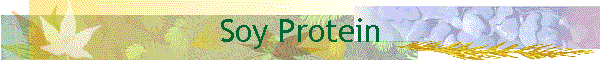 Soy Protein